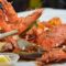 dancing crab